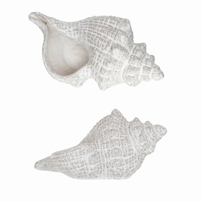 10.4 x 5.9  Stoneware Conch Shell, Reactive Glaze (Each One Will Vary) interior room decor