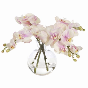 11" Faux Pink & Cream Orchid Phalaenopsis in a Glass Bubble Vase home display ornament