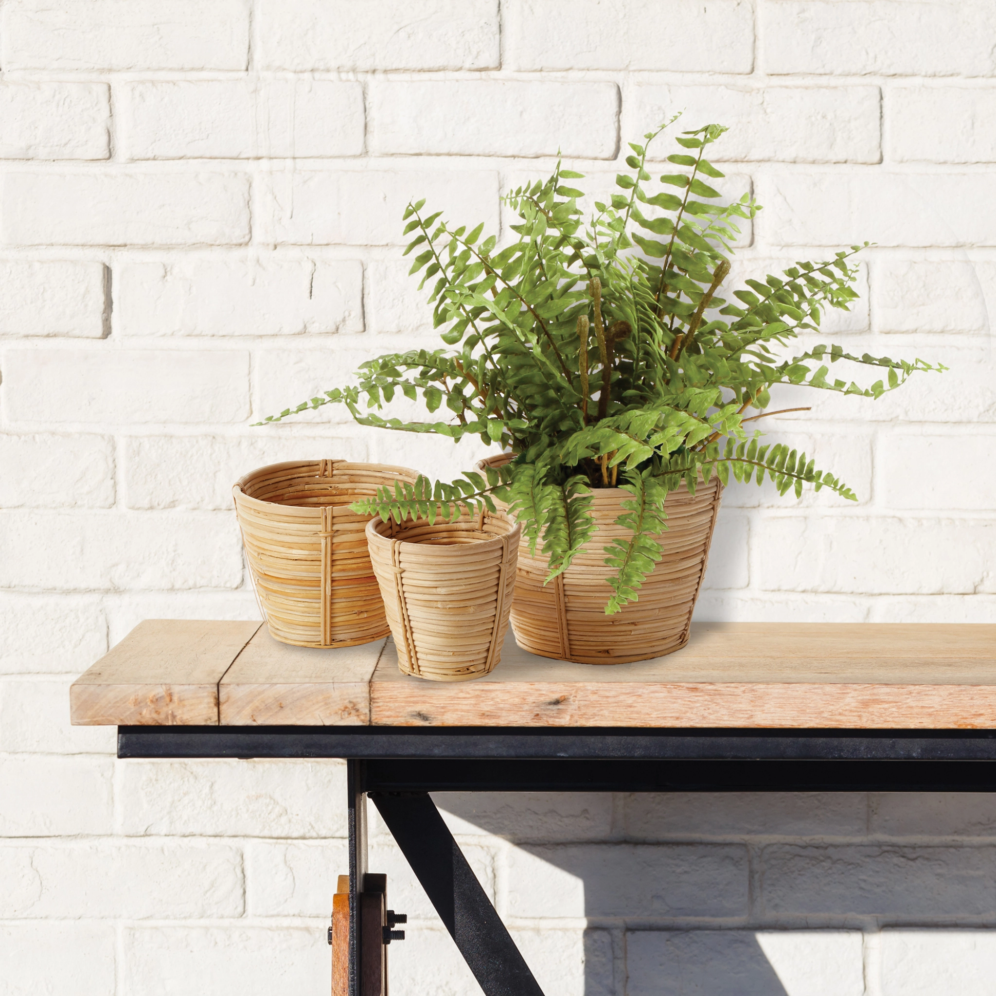 12" Faux Boston Fern Drop-In