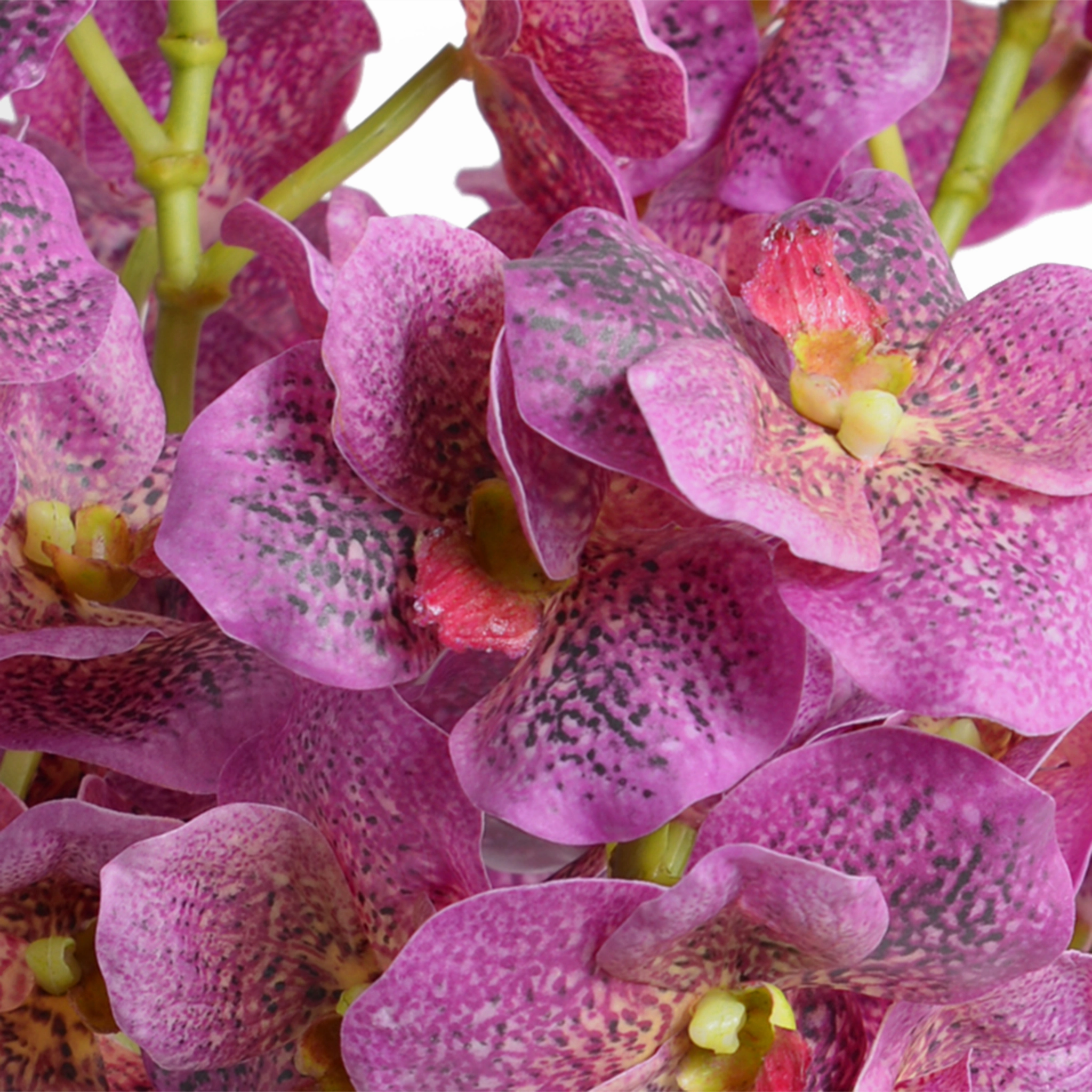15" Faux Vanda Orchid Cuttings in Glass
