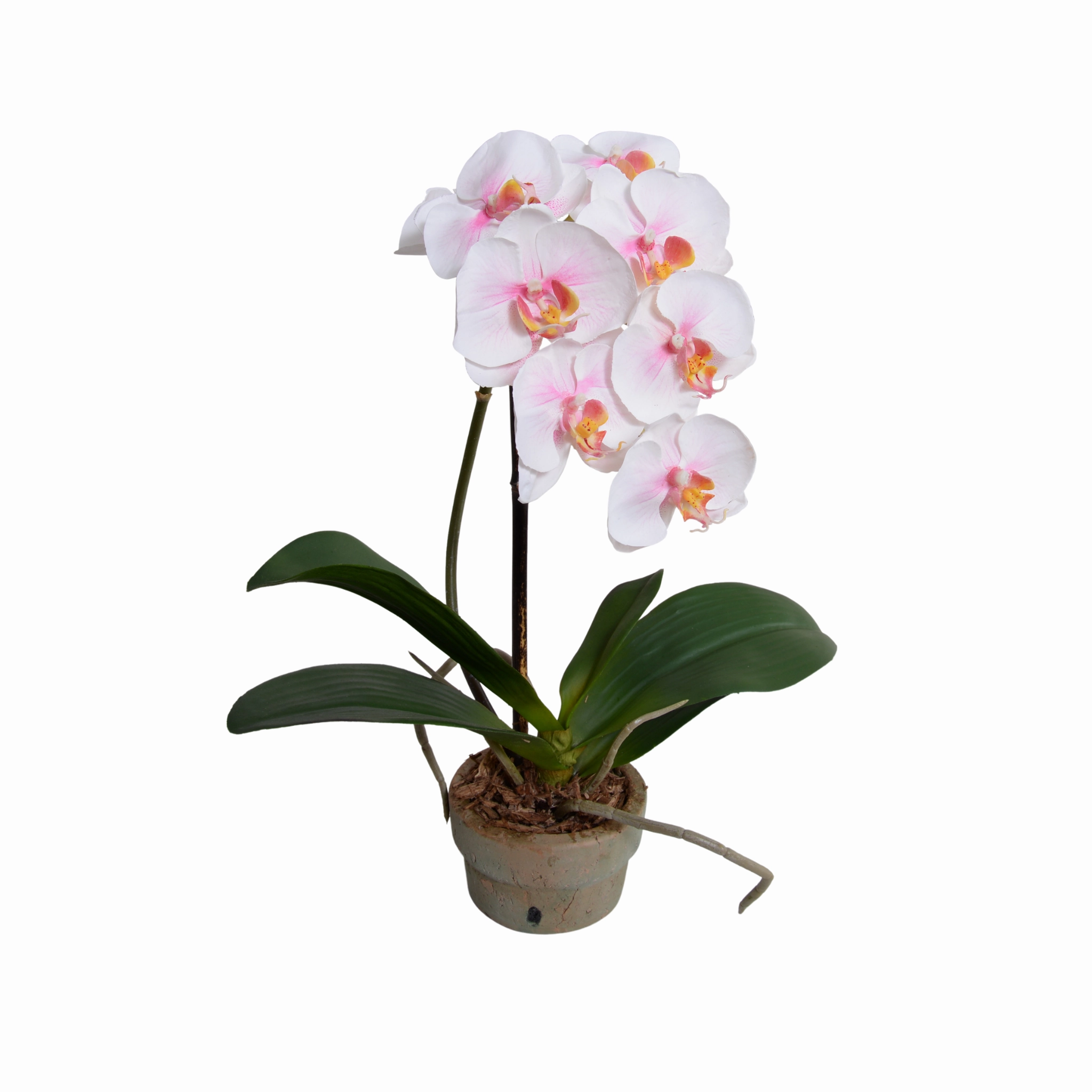 16" Faux Phalaenopsis Orchid x1 in Terracotta home display ornament