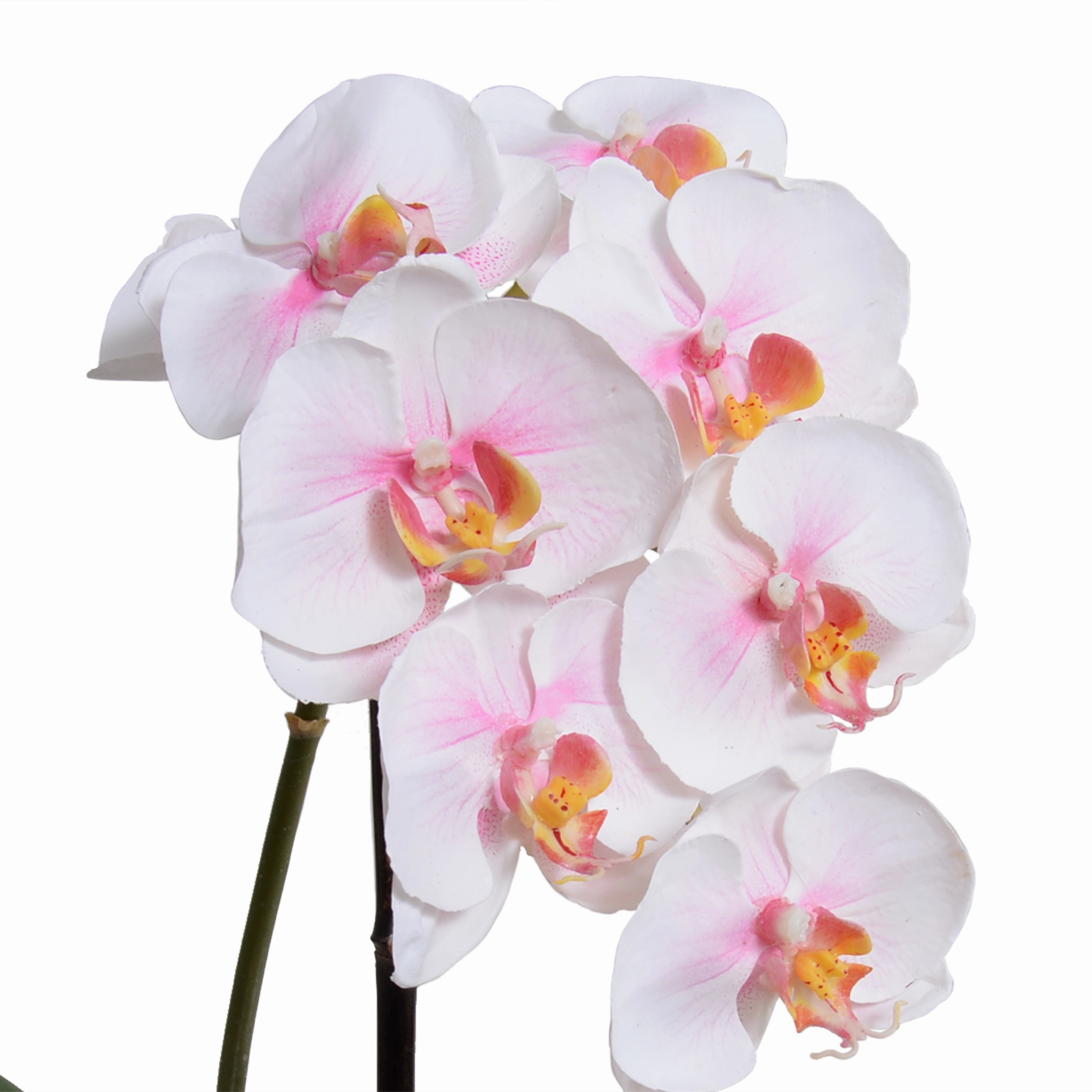 16" Faux Phalaenopsis Orchid x1 in Terracotta