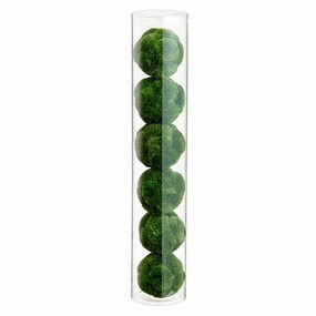 16H3"D Moss Orb ( Tube of 6) interior room decor