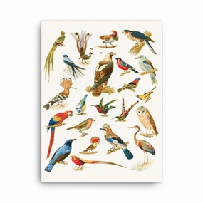 22 Birds - Canvas canvas mural art