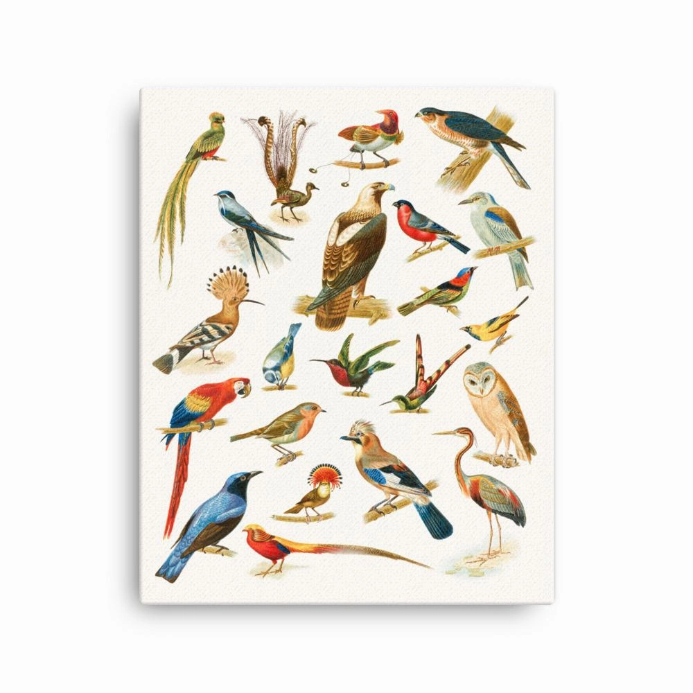 22 Birds - Canvas