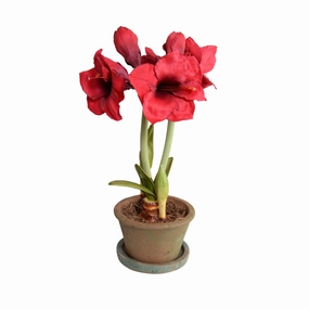 22" Faux Amaryllis in Terracotta home display ornament