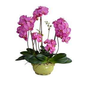 22" Faux Fucshia Phalaenopsis Orchid x5 in Glazed Bowl home display ornament
