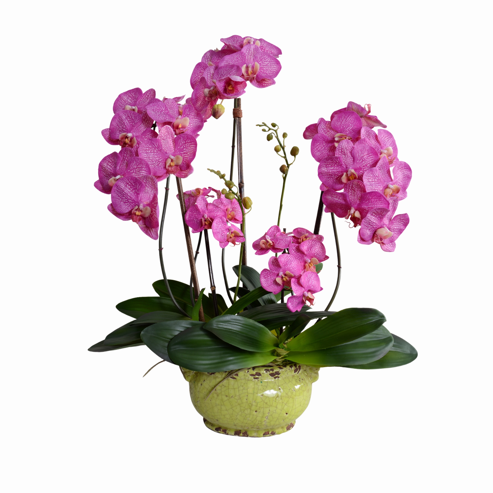 22" Faux Fucshia Phalaenopsis Orchid x5 in Glazed Bowl home display ornament