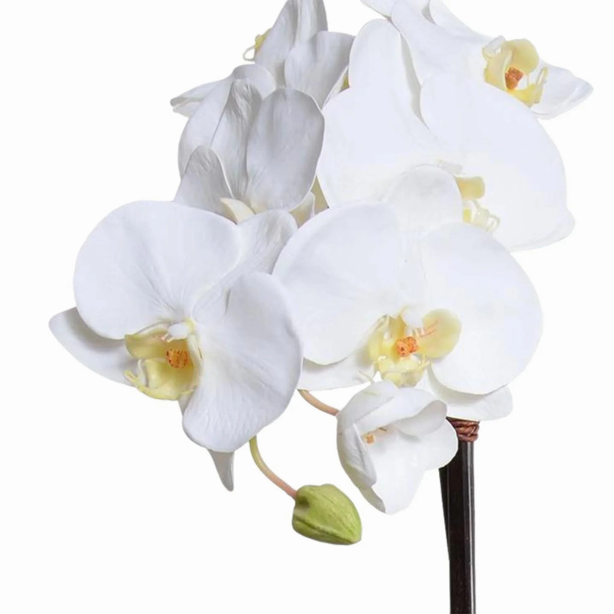 28" Faux Phalaenopsis Orchids in White Ceramic Bowl