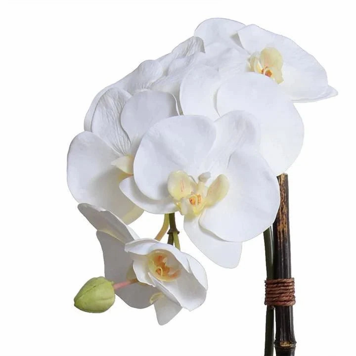 28" Faux Phalaenopsis Orchids in White Ceramic Bowl