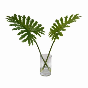 28" Faux Philodendron Selloum Leaves in Glass home display ornament