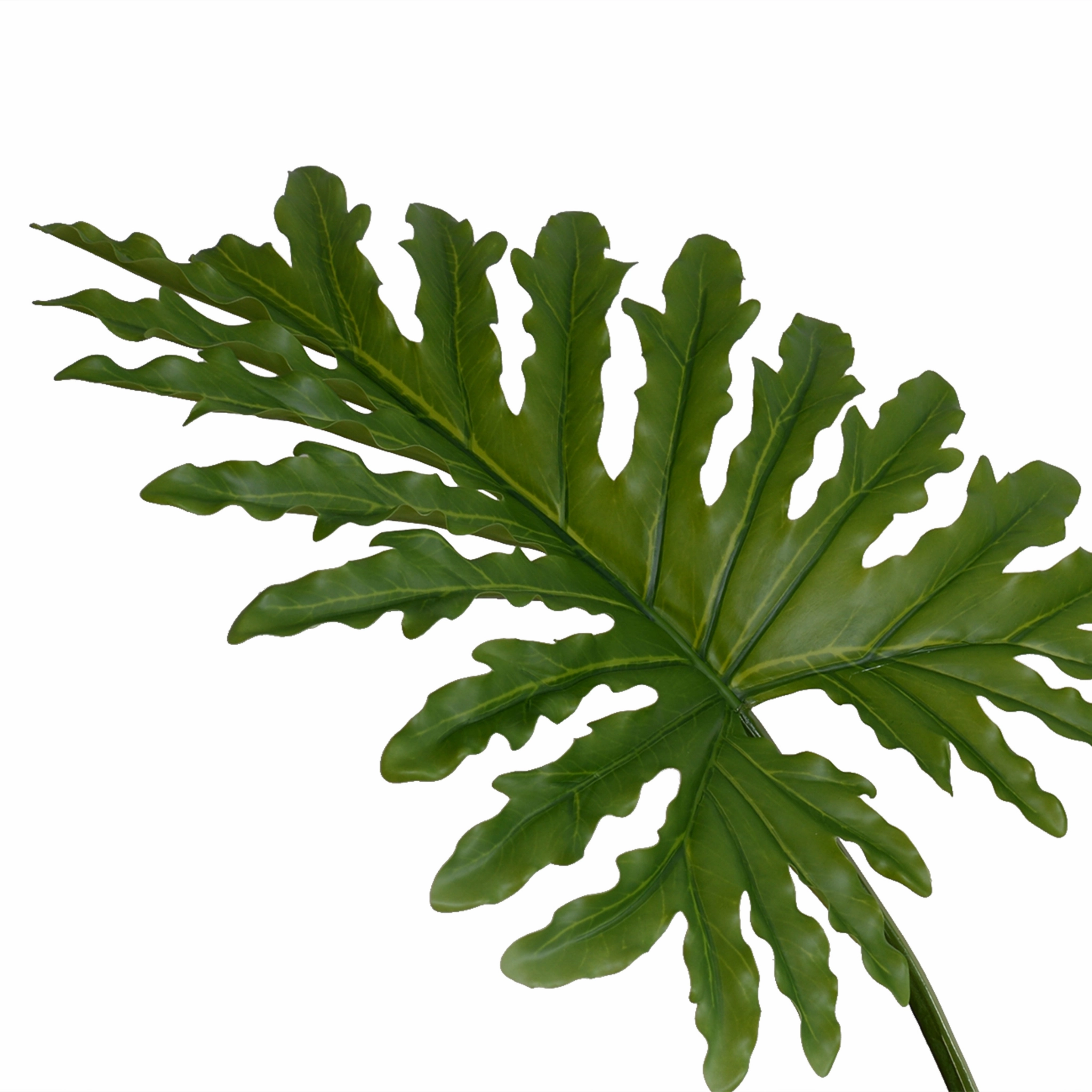 28" Faux Philodendron Selloum Leaves in Glass