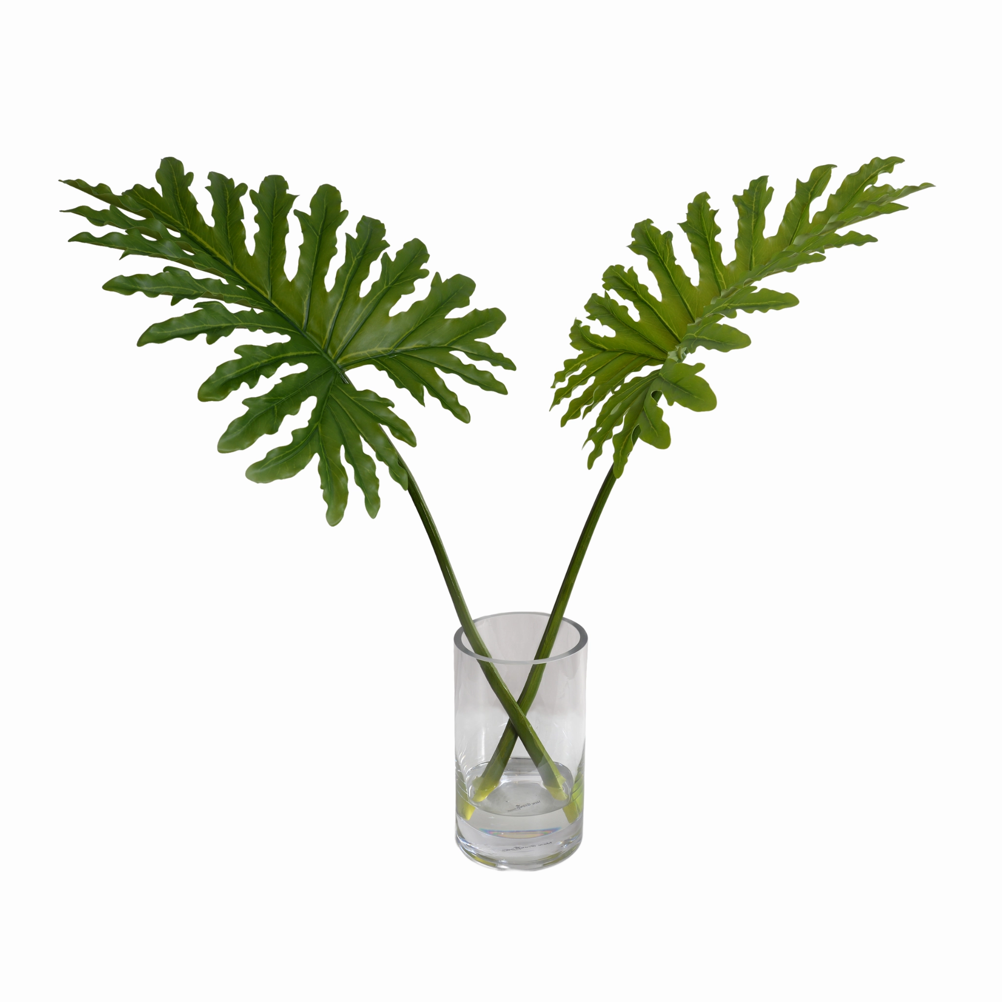 28" Faux Philodendron Selloum Leaves in Glass home display ornament