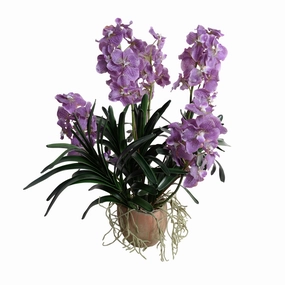 29" Faux Vanda Orchid in Terracottta home display ornament