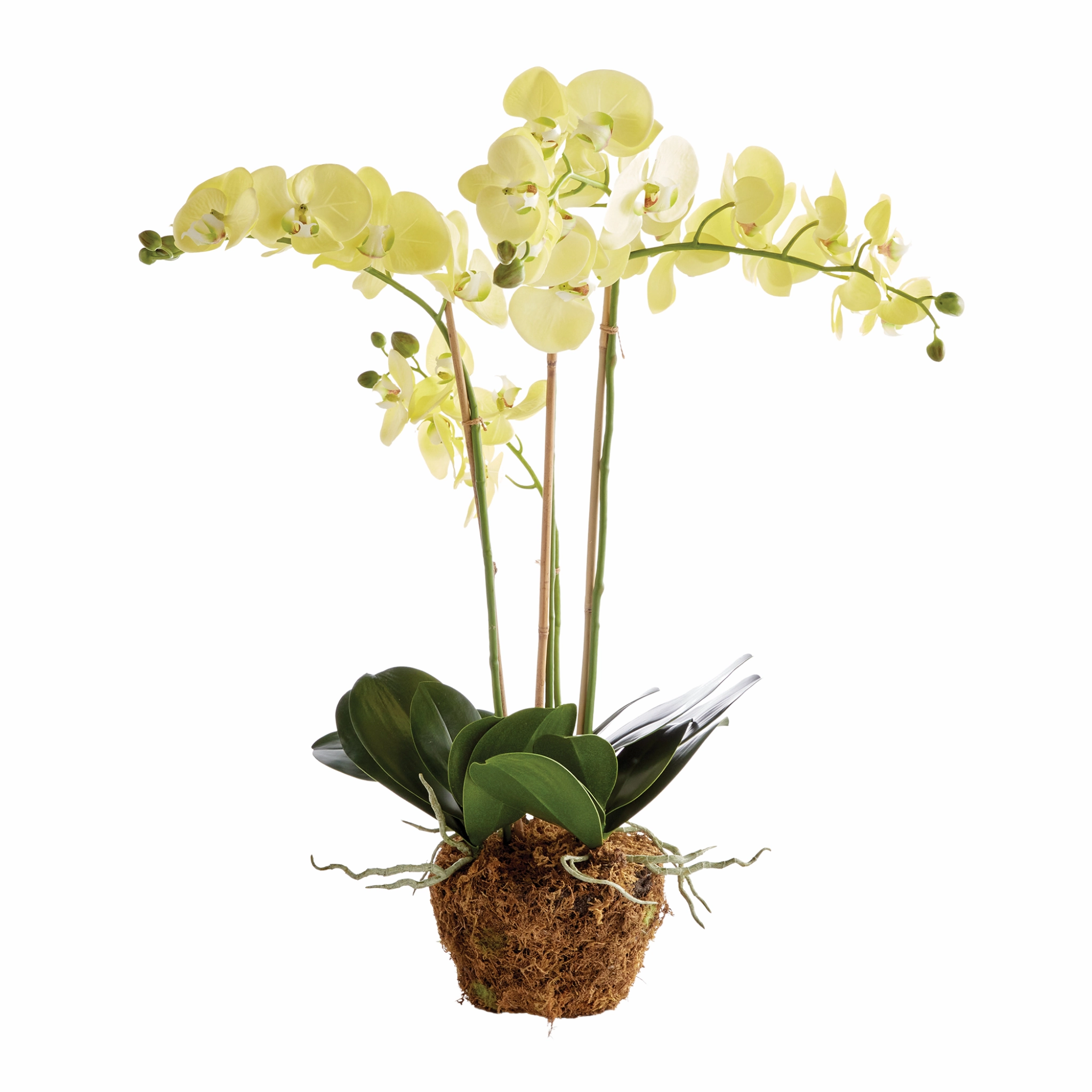 30" Faux Phalaenopsis Orchid Drop In home display ornament