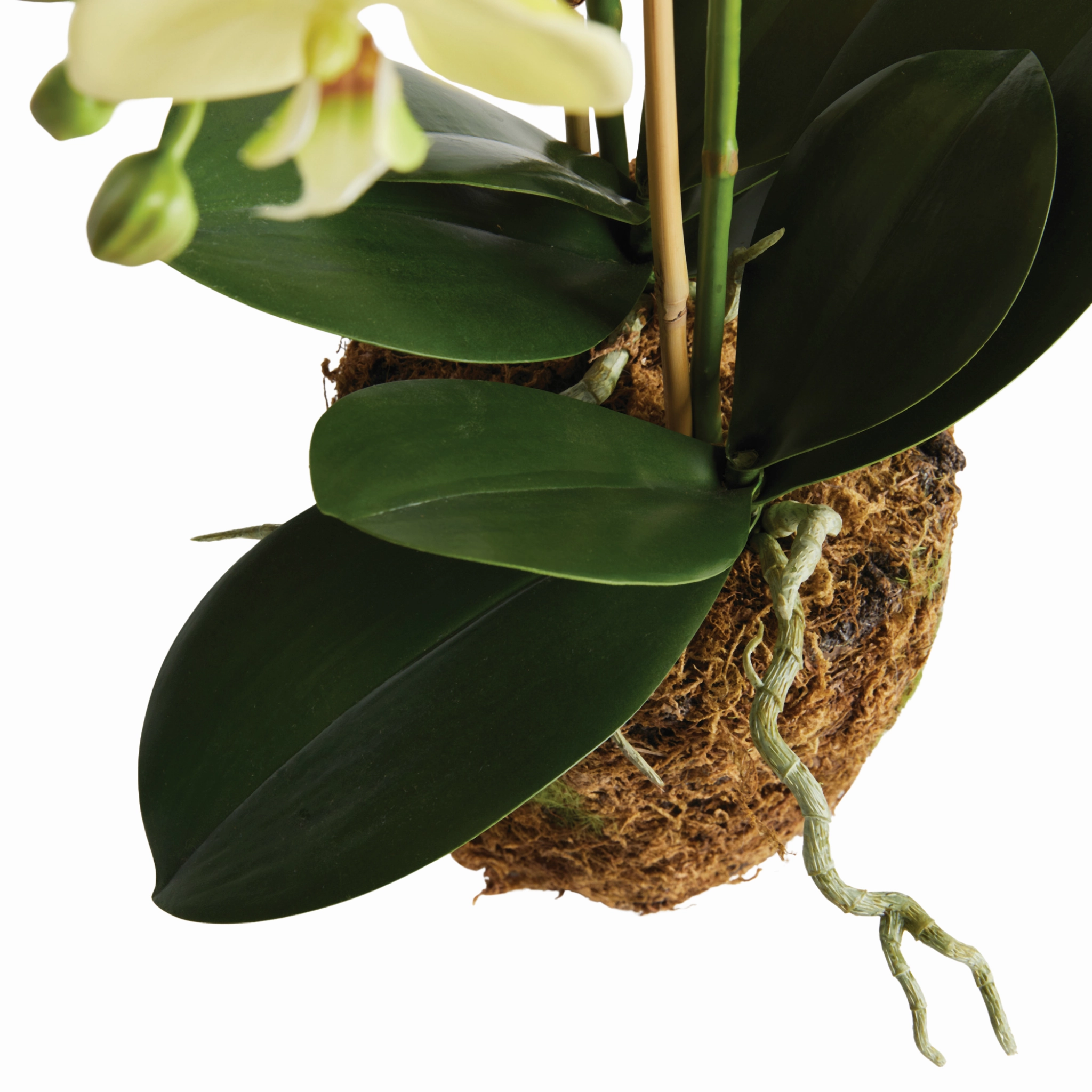 30" Faux Phalaenopsis Orchid Drop In