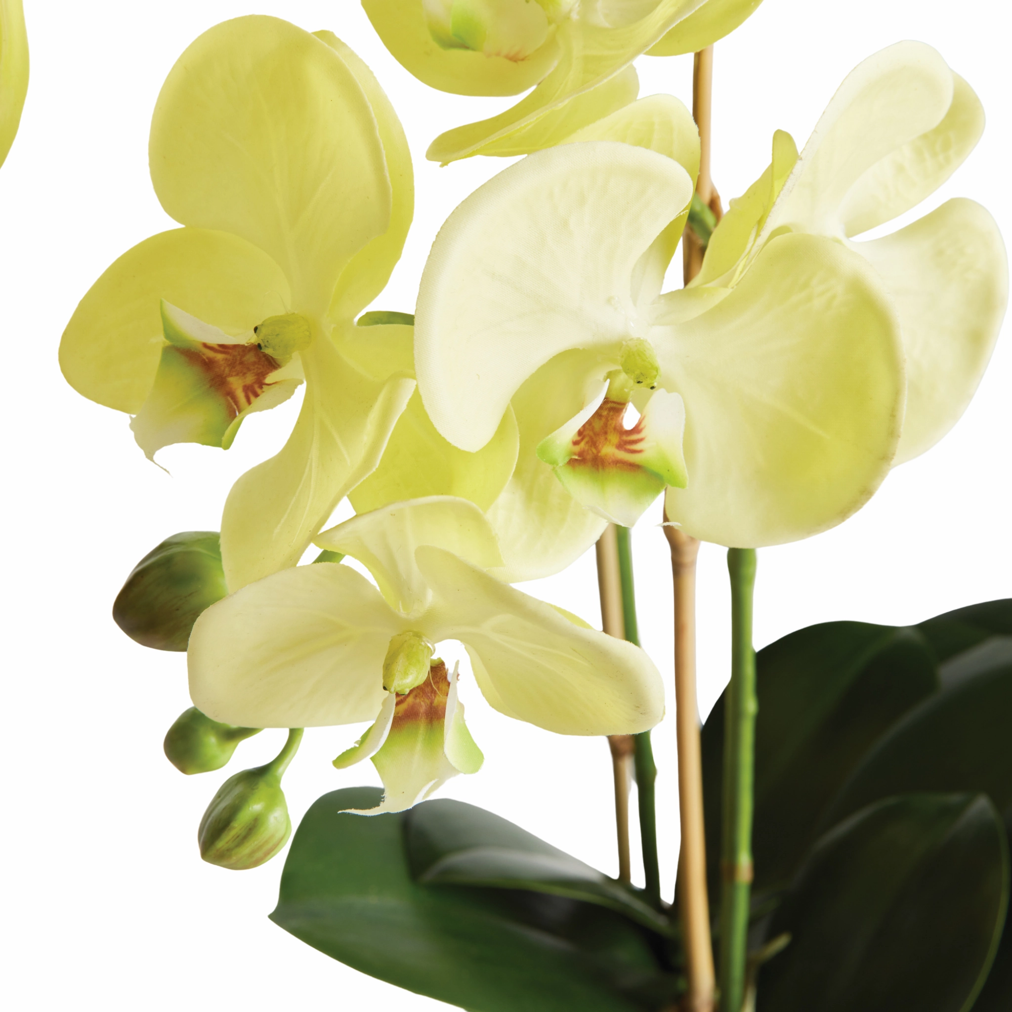 30" Faux Phalaenopsis Orchid Drop In
