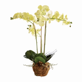 30" Faux Phalaenopsis Orchid Drop In home display ornament