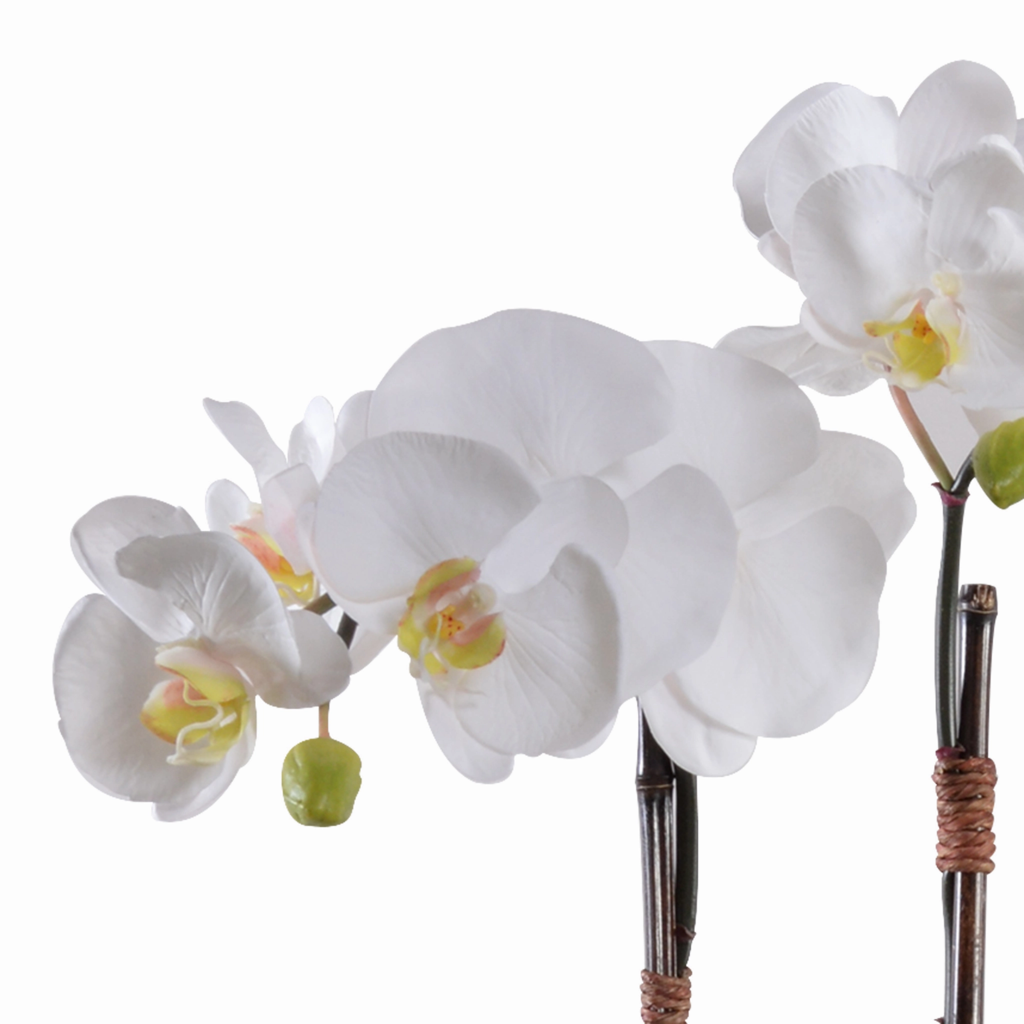 30" Faux White Phalaenopsis Orchid x2 in Terracotta