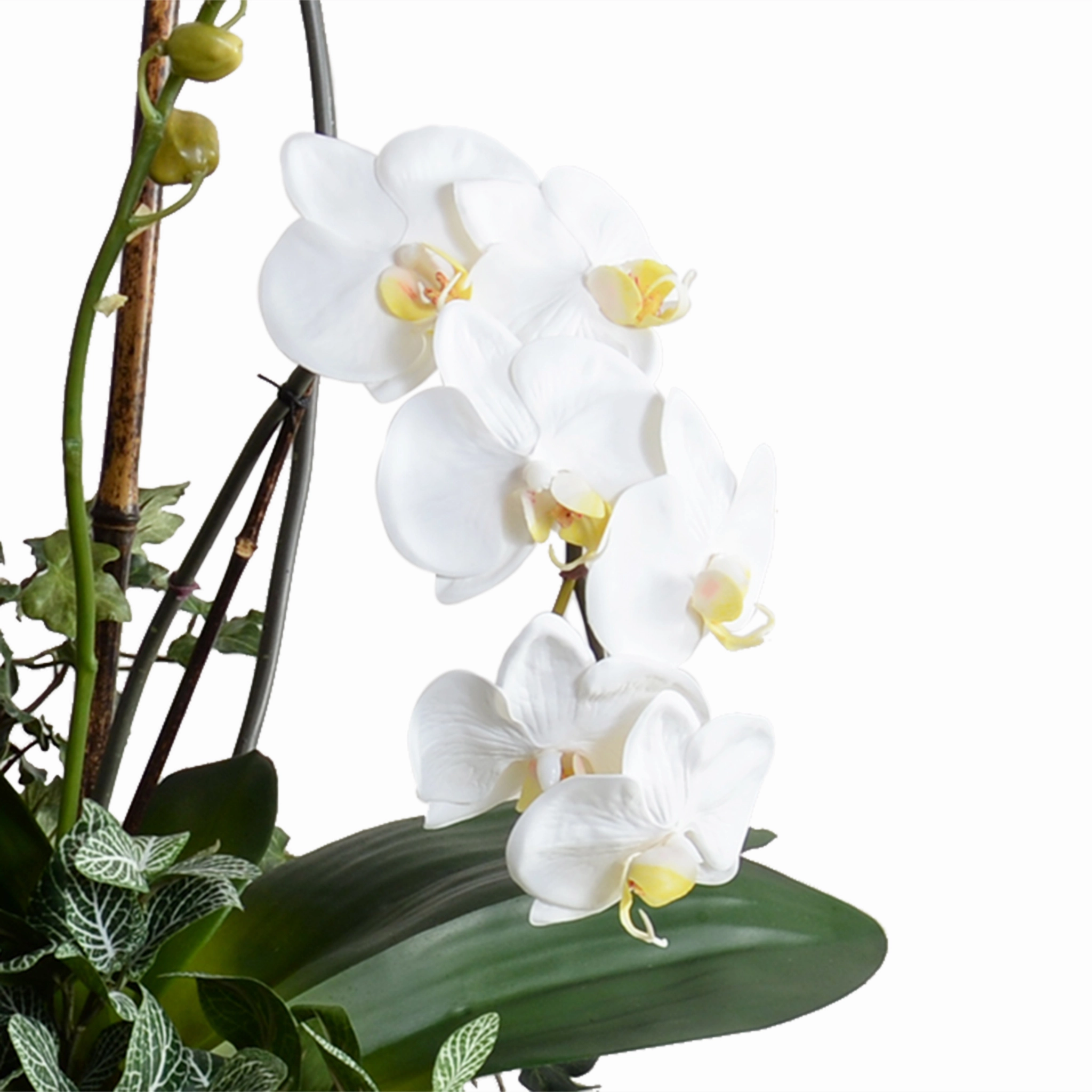 34" Faux Phalaenopsis Orchid w/Vines in Blue & White Vase