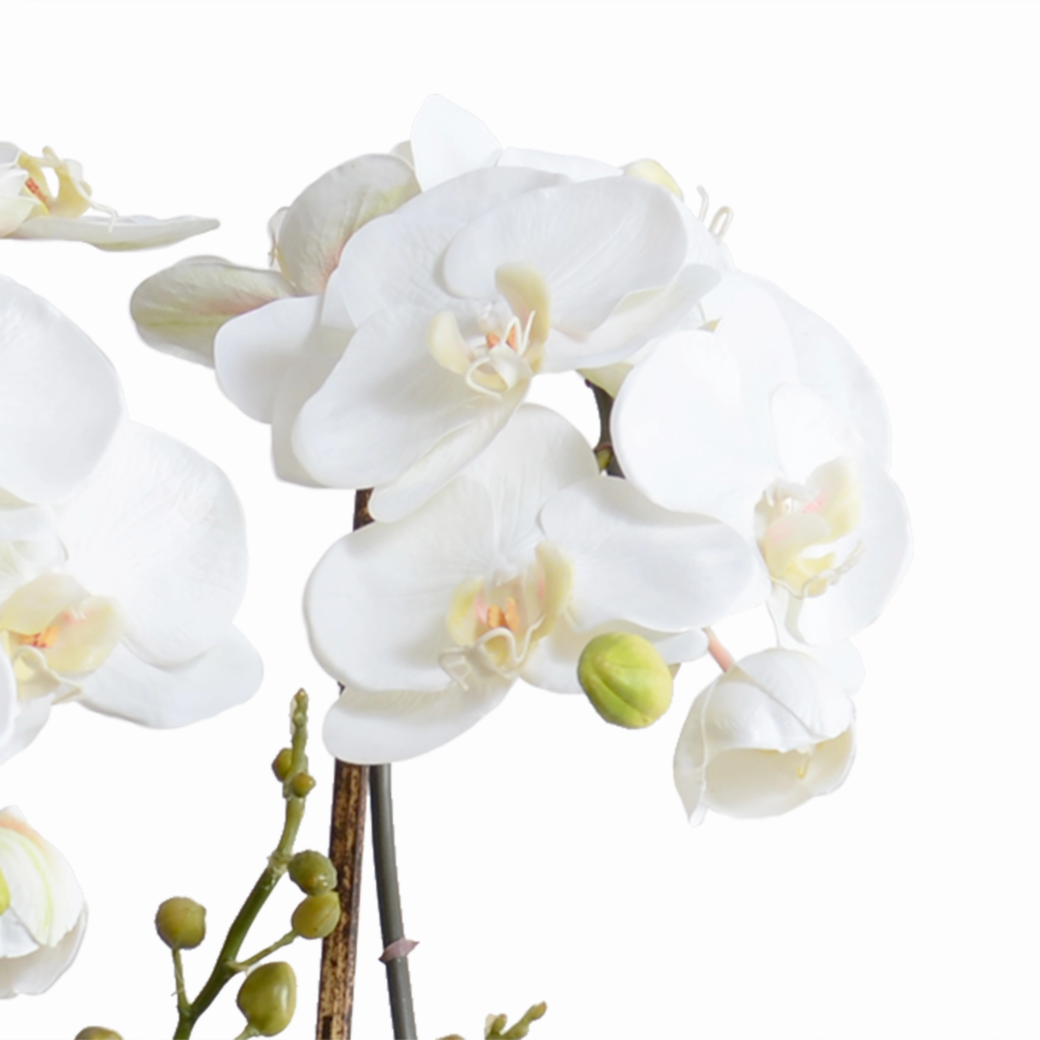 34" Faux Phalaenopsis Orchid w/Vines in Blue & White Vase
