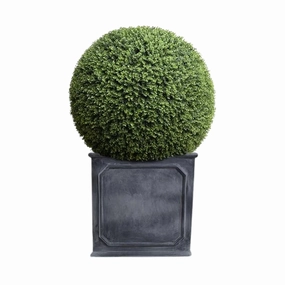 39" Faux Boxwood Ball in Square Planter home display ornament