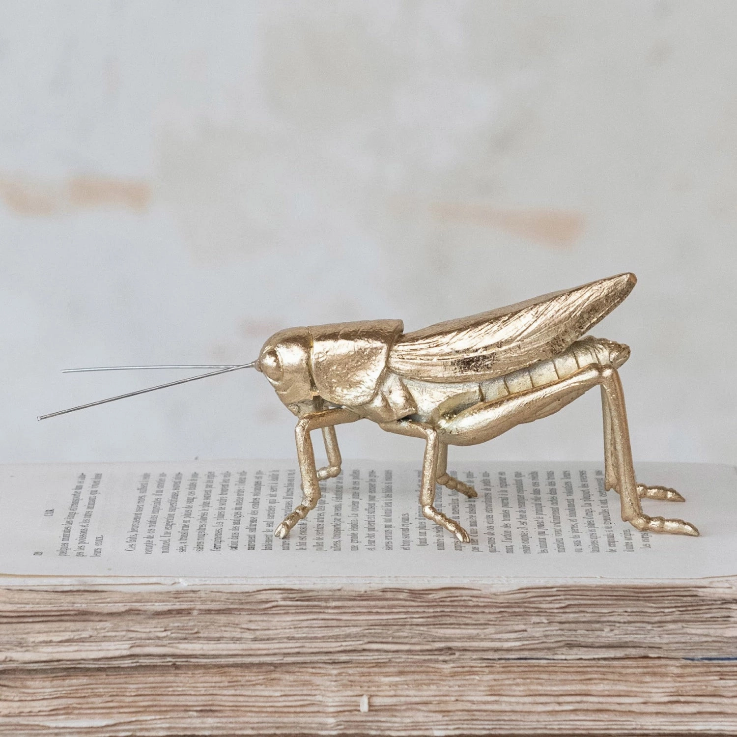 5-1/2"L x 1-3/4"W x 1-3/4"H Resin & Metal Grasshopper, Gold Finish interior room decor