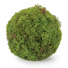 5"D Moss Orb - Florals and Foliage interior room decor