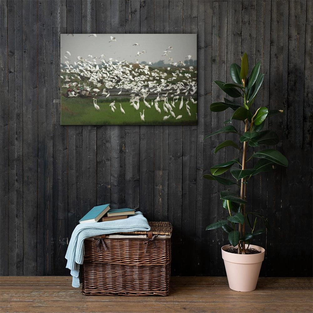 a flock of egrets - canvas