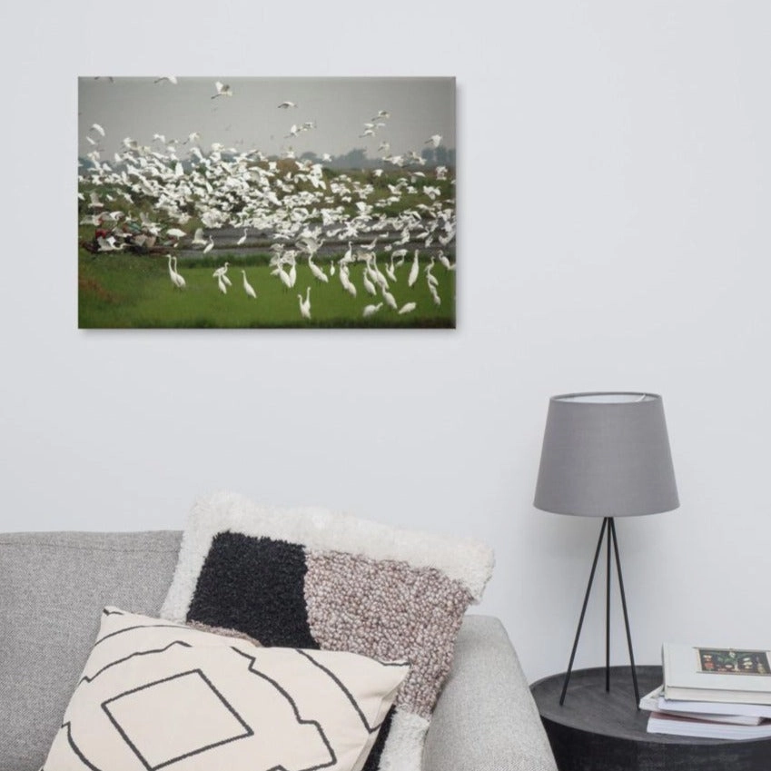 a flock of egrets - canvas