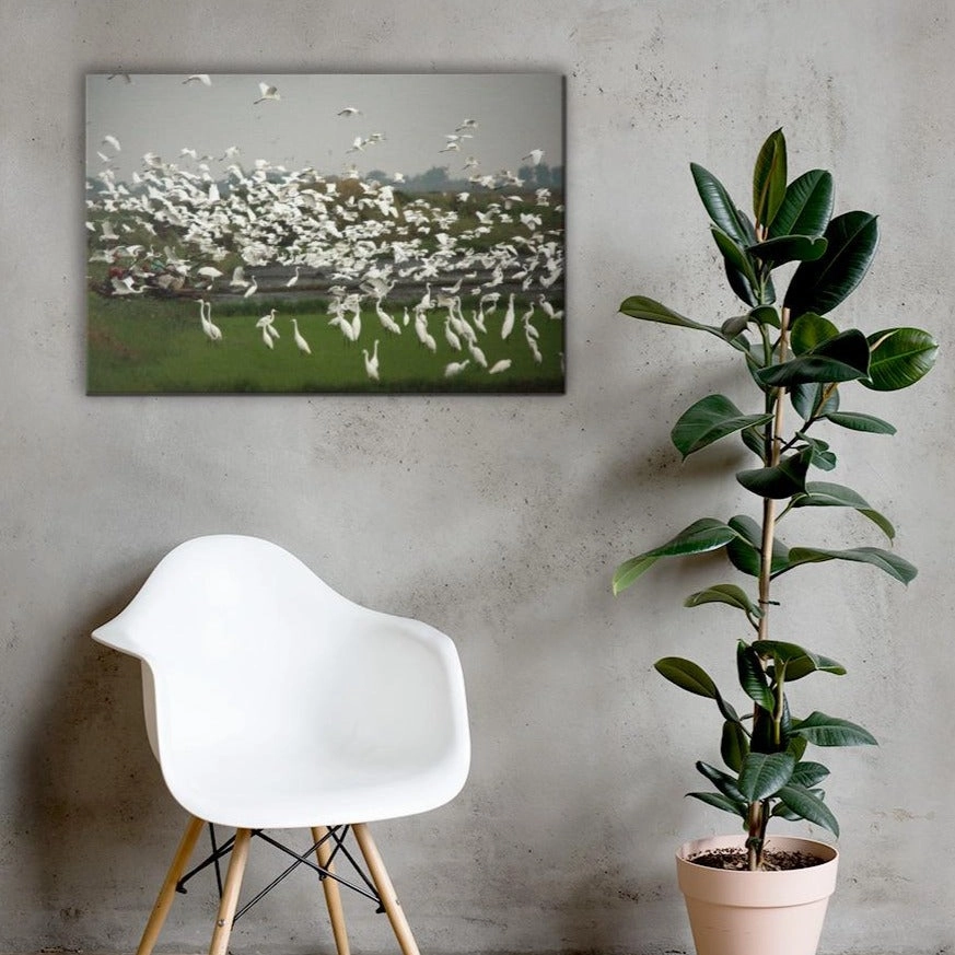 a flock of egrets - canvas