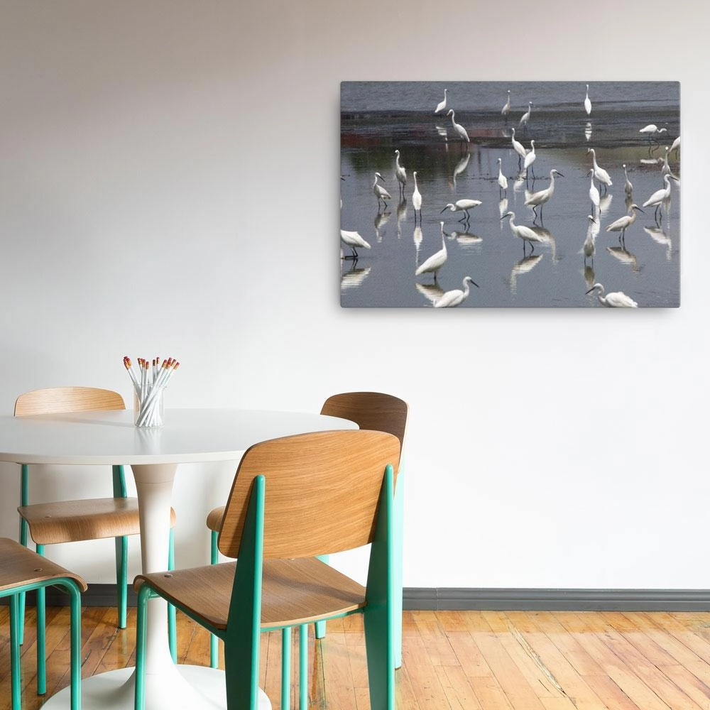 A flock of little egrets - canvas