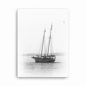 a sailboat - canvas canvas mural art