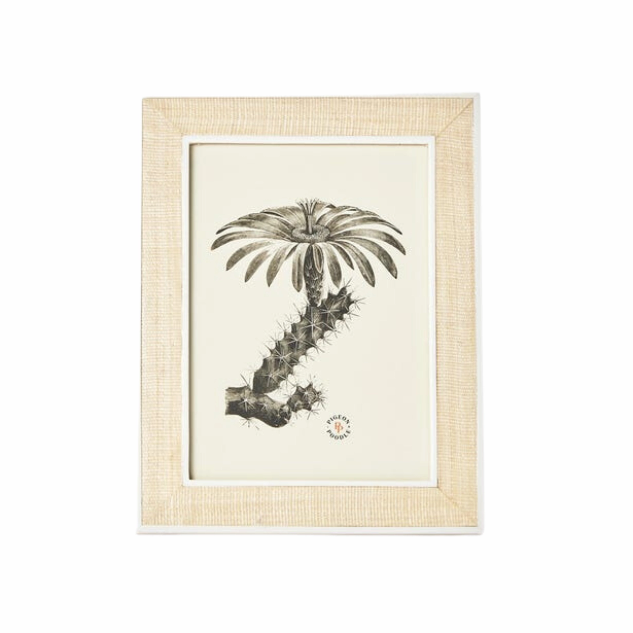 Aberdeen Abaca Fiber Frame in Three Different Colors