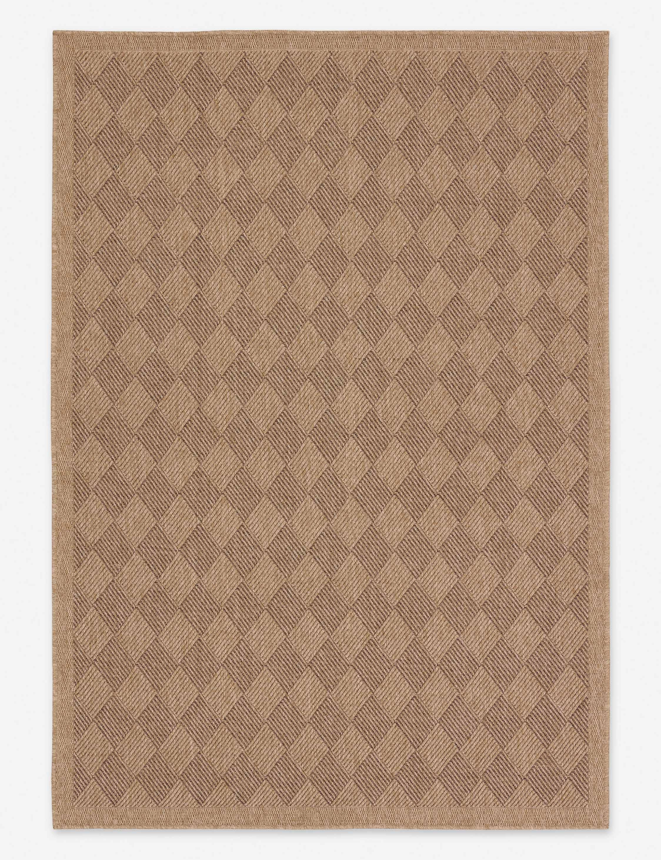 Adisa Indoor / Outdoor Rug trendy fashion rug
