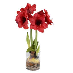 Amaryllis Plant Arrangement with Red Flowers home display ornament