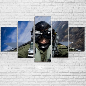 Amazing Military Pilot Selfie Printed Multiple Canvas Poster canvas mural art