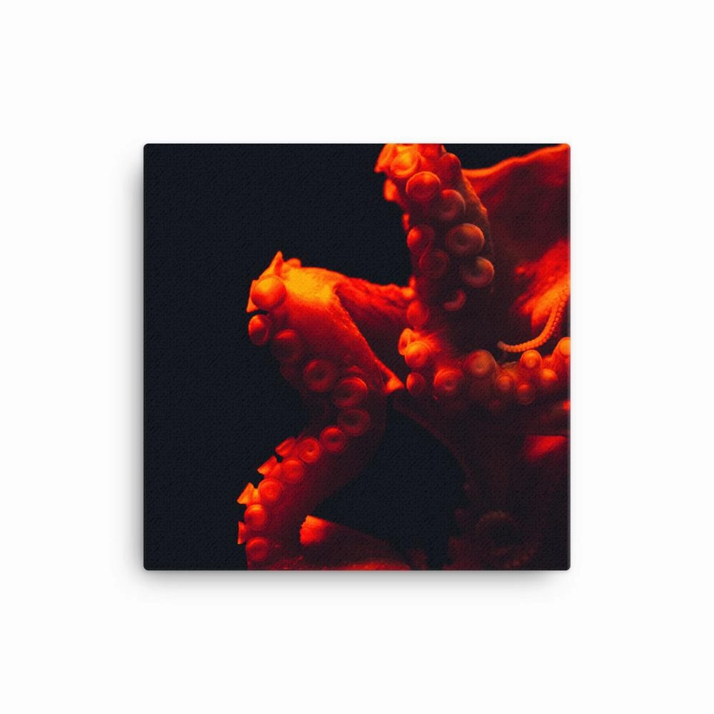 Angry Octopus - Canvas