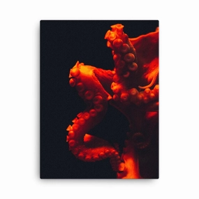 Angry Octopus - Canvas canvas mural art