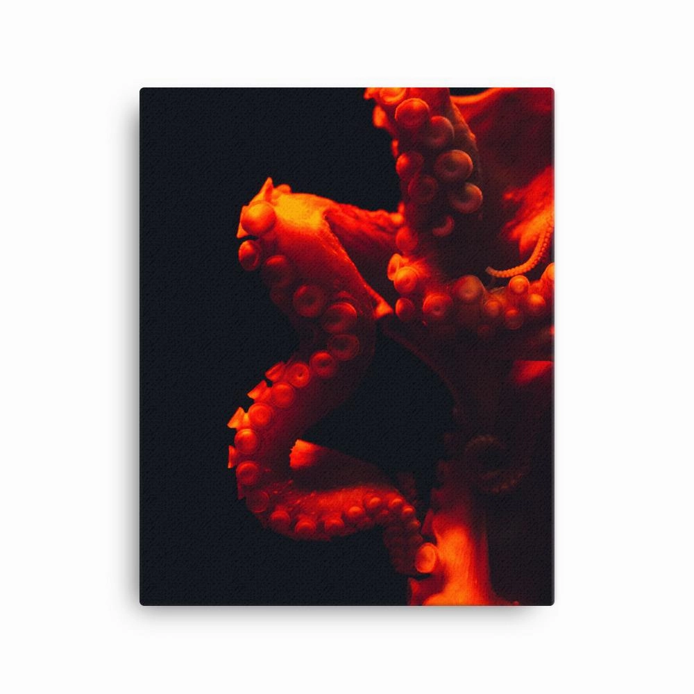 Angry Octopus - Canvas