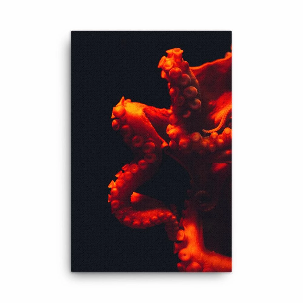 Angry Octopus - Canvas