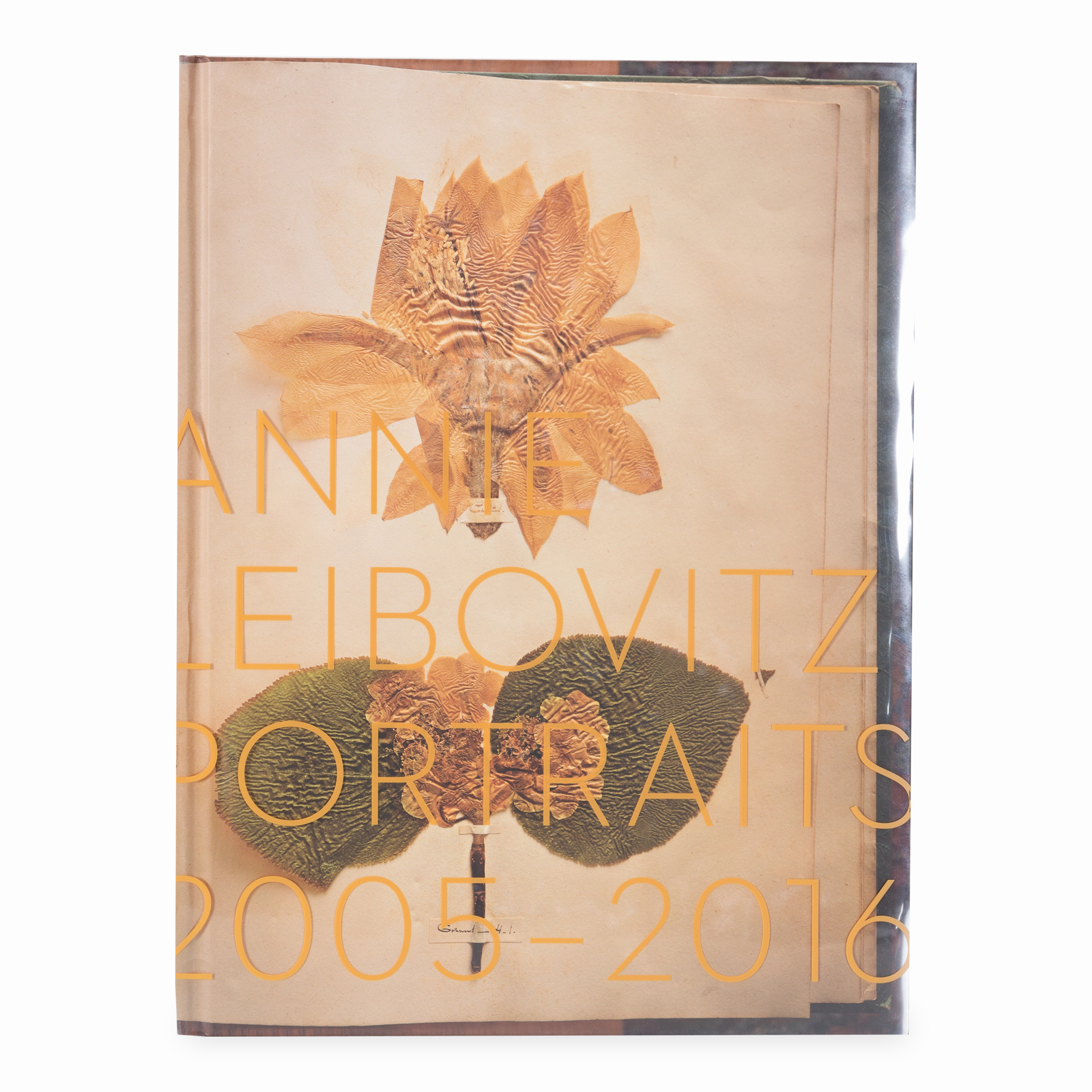 Annie Leibovitz Portraits elegant wall decor