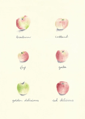 Apples Watercolor Print 5" x 7" framed wall decor