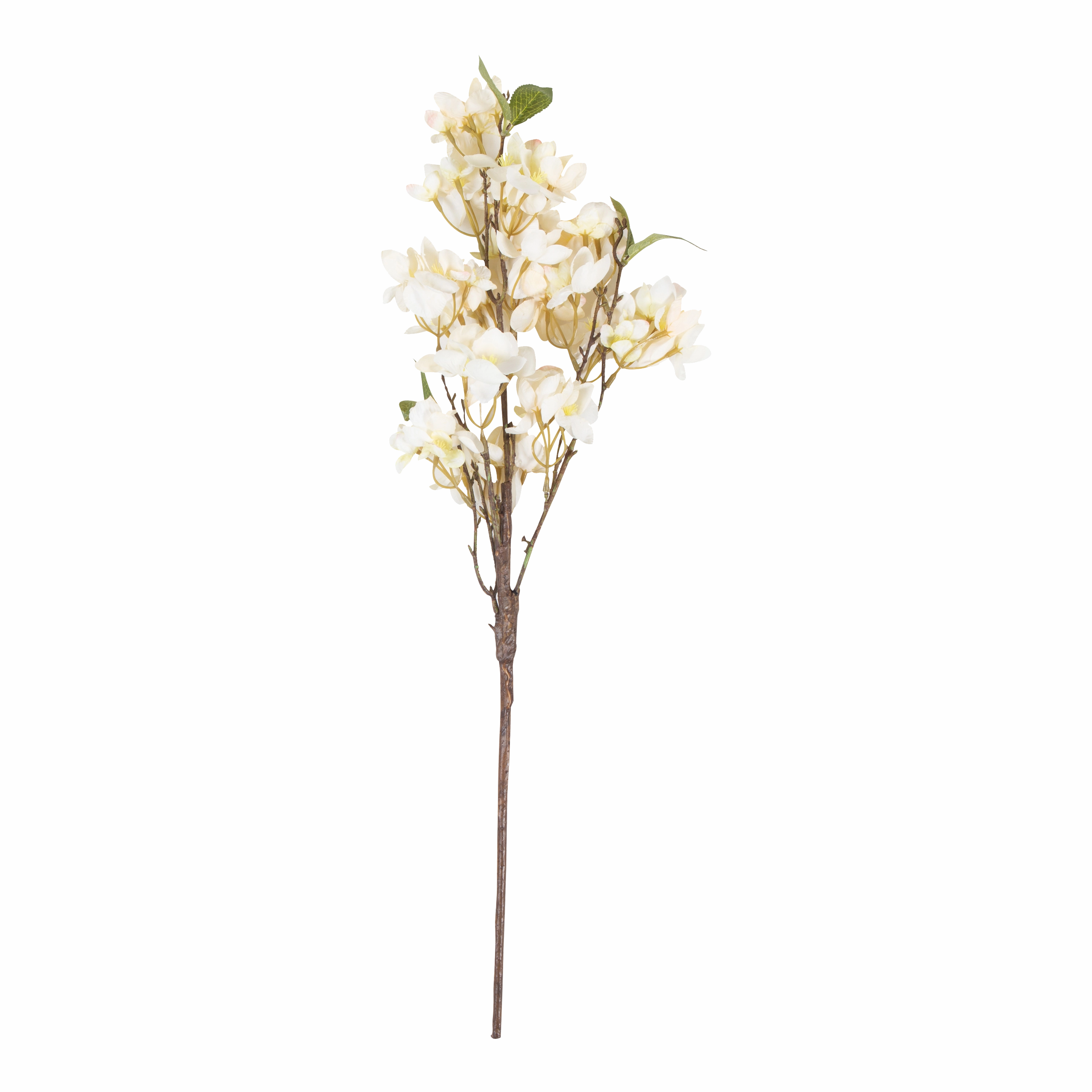 Apricot Blossom Stem elegant wall decor