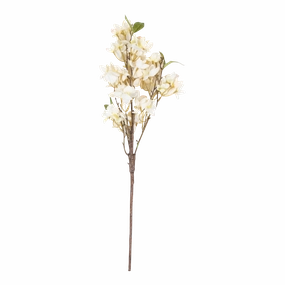 Apricot Blossom Stem elegant wall decor
