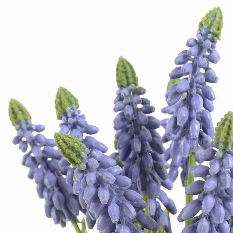 Artificial Grape Hyacinth Plant Arrangement in Glass Cube