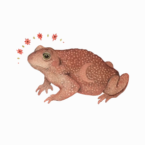 Astral Toad Art Print framed wall decor