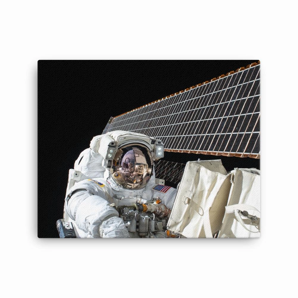 Astronaut - canvas