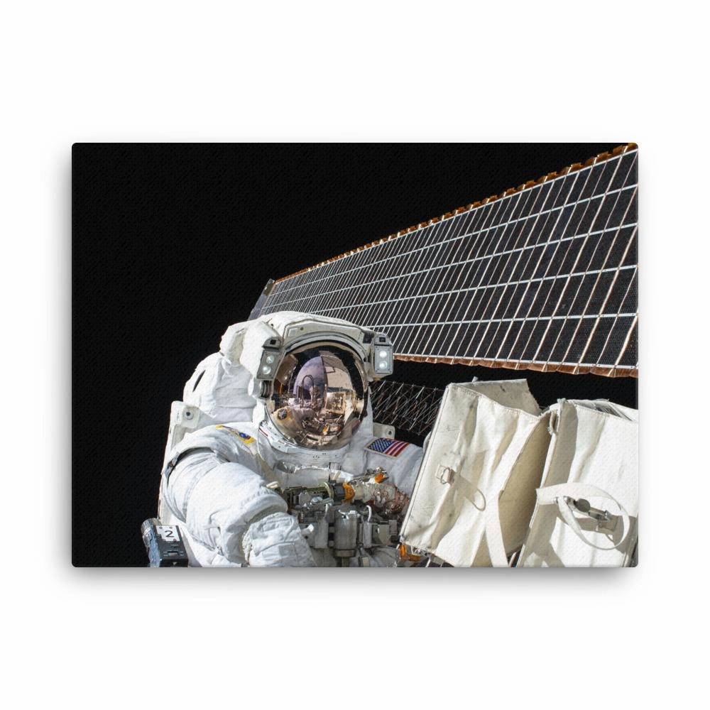 Astronaut - canvas canvas mural art