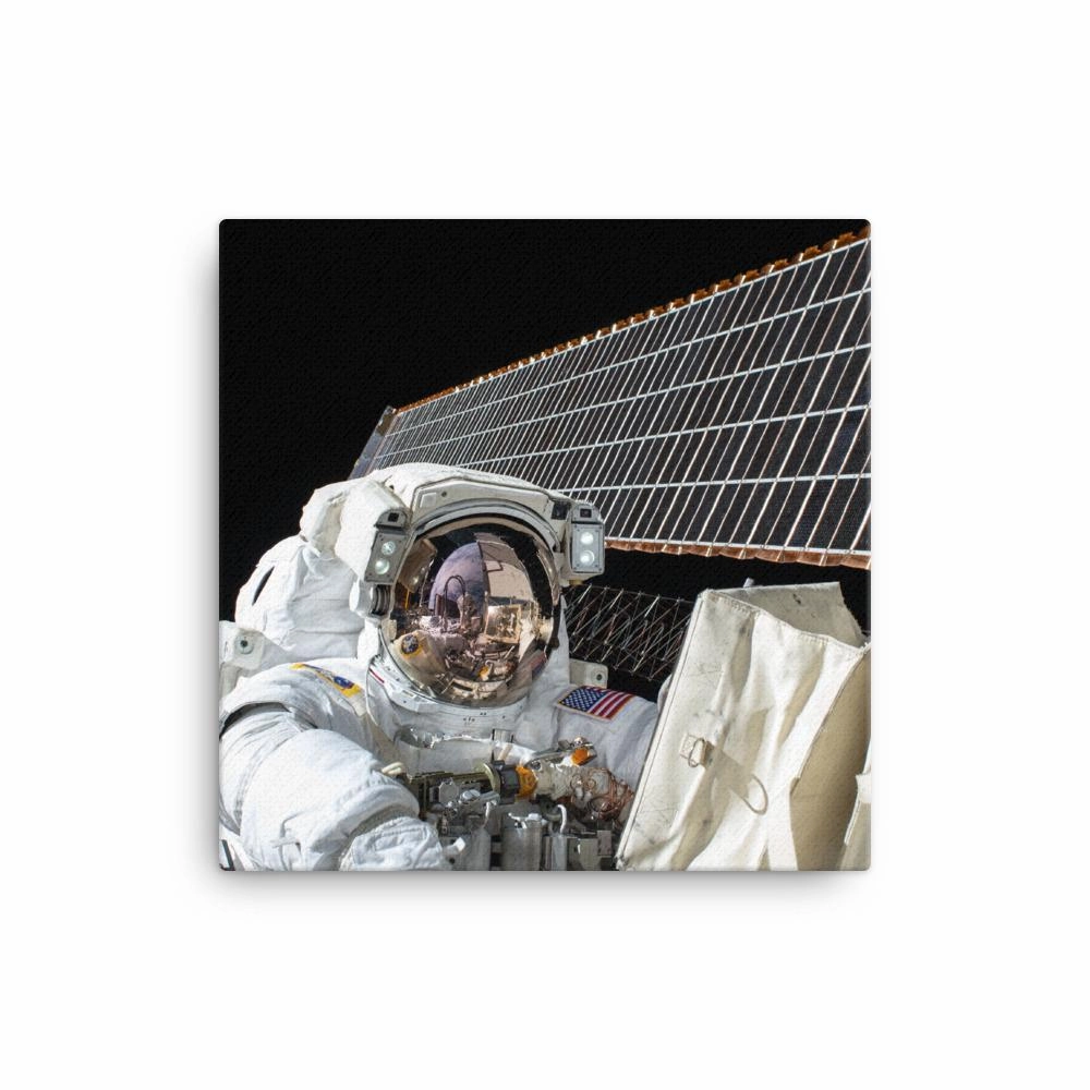 Astronaut - canvas